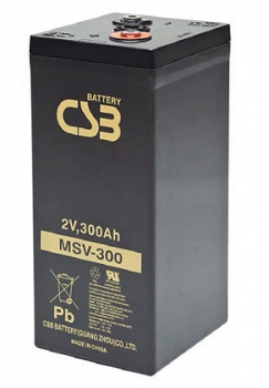  CSB MSV 300